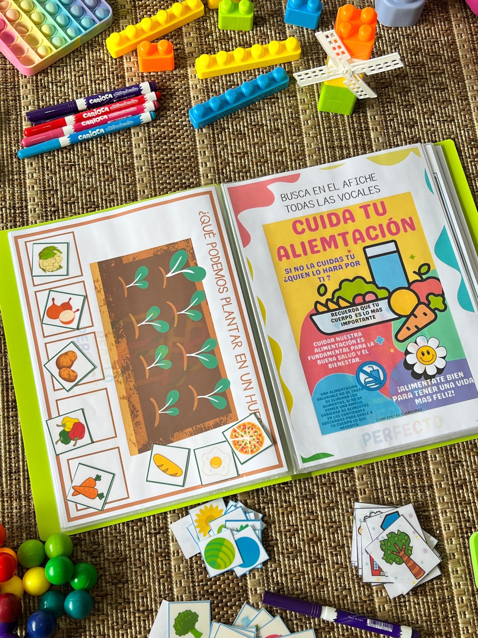 040eaf60-8af5-4ae0-9a77-fb7b74a8d095-2