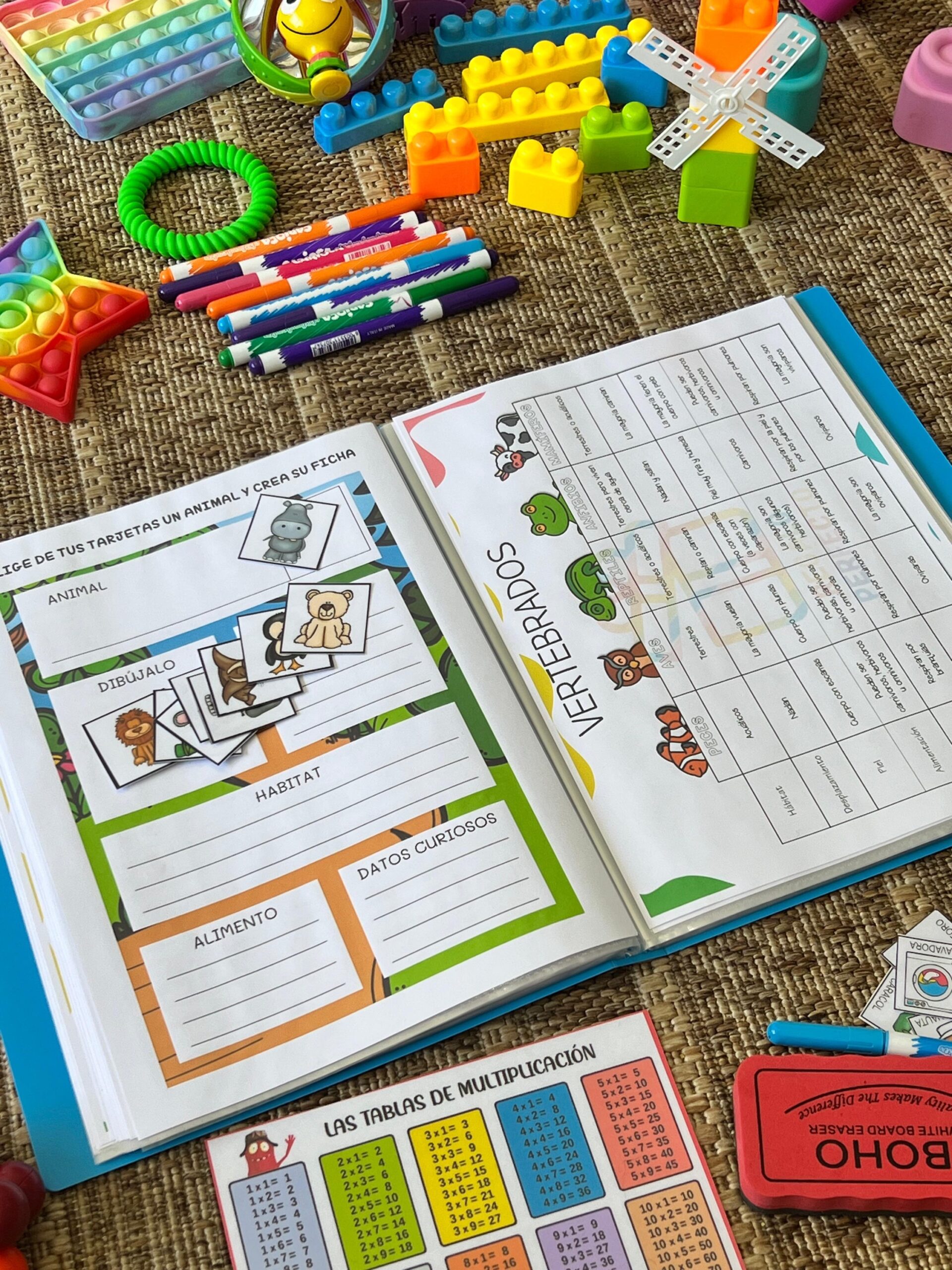 2b2c9a7a-0fcb-47a1-a0bb-1b502f1d06e4-2