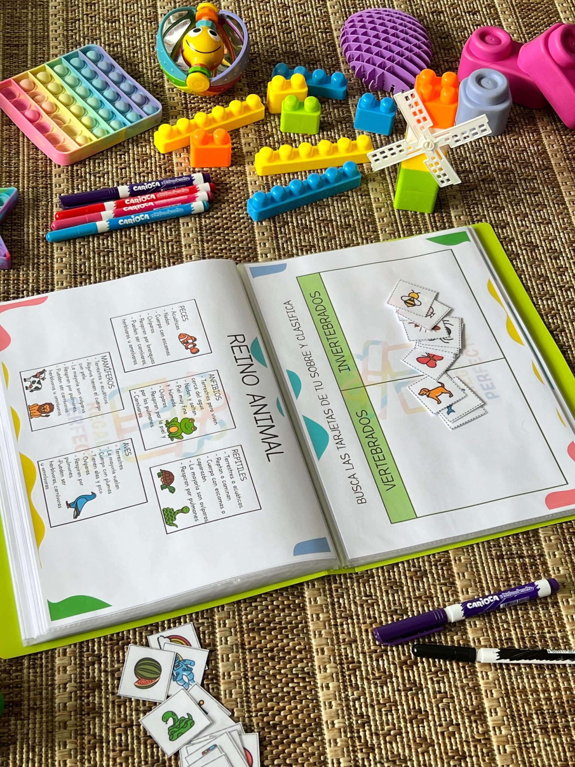 69a2f02b-971e-4061-8fb4-ebd01aac8484