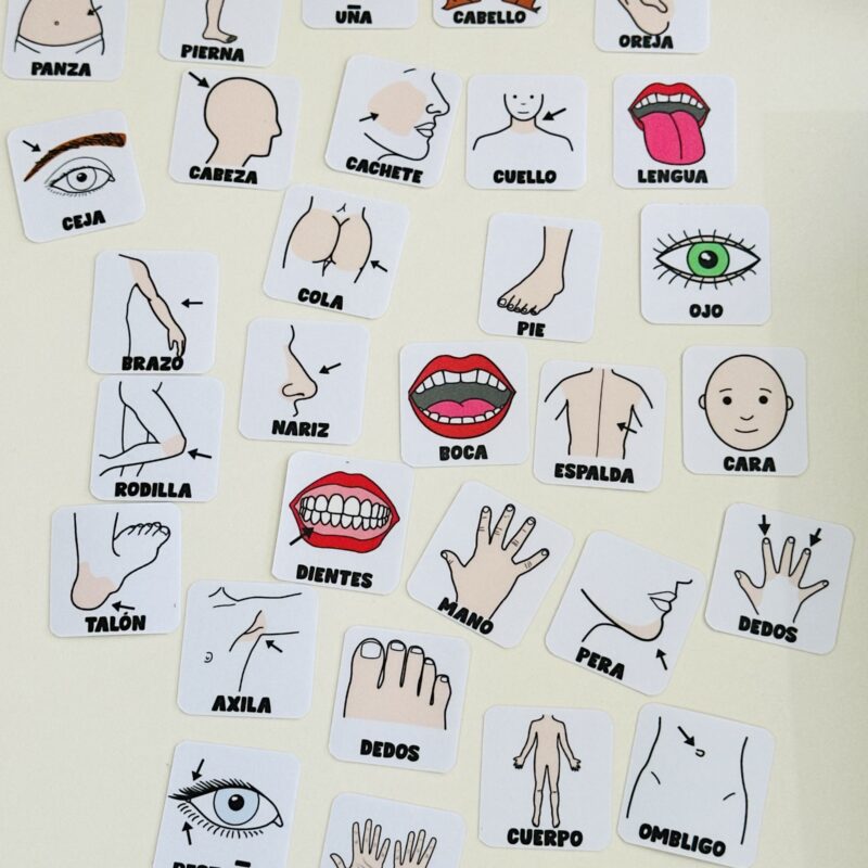 Pack de Pictogramas de Partes del Cuerpo (30) para Agenda de Comunicación